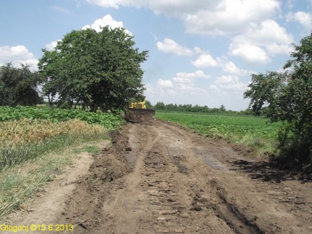 Glogonj_put kroz vinograde_16.jpg, 197 KB