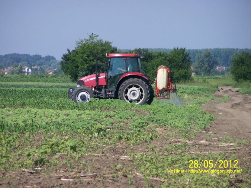 poljoprivredni_radovi-glogonj_prskanje_010.jpg, 168 KB